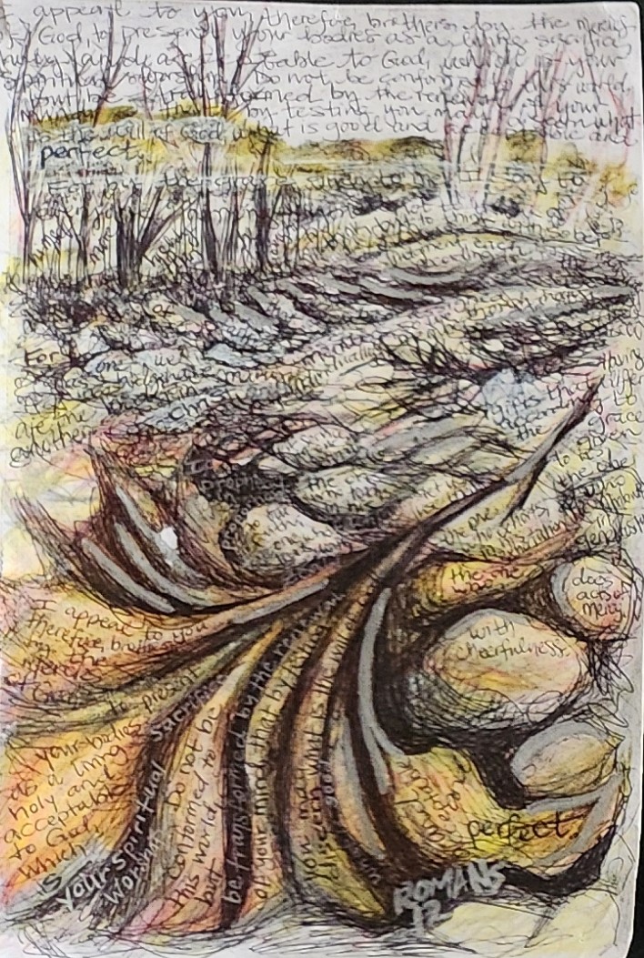 Art: August 2024-May 2025